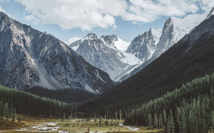 移民菲律宾中介公司